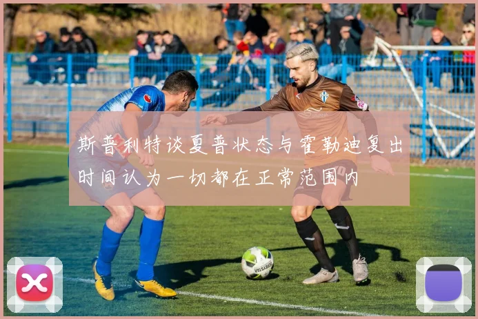 斯普利特谈夏普状态与霍勒迪复出时间认为一切都在正常范围内