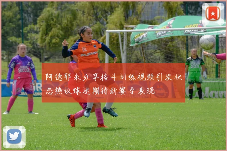 阿德耶米分享格斗训练视频引发状态热议球迷期待新赛季表现