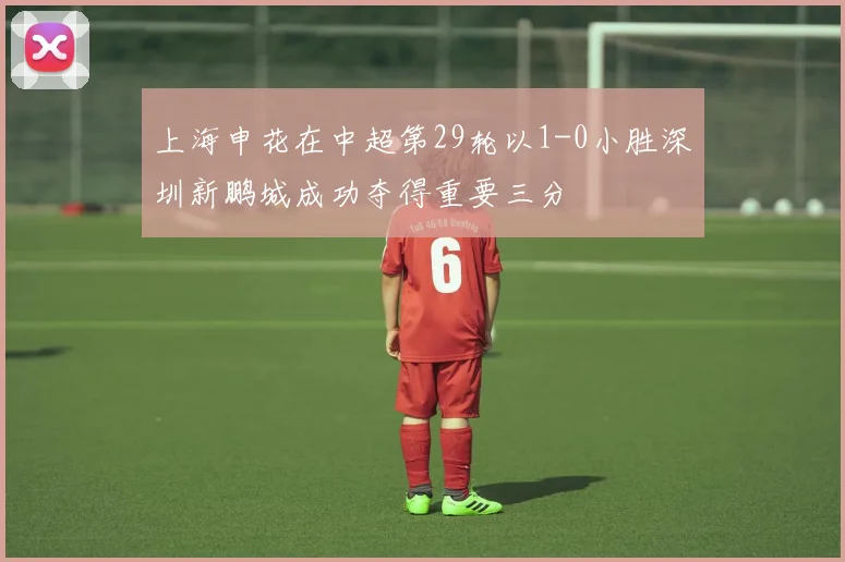 上海申花在中超第29轮以1-0小胜深圳新鹏城成功夺得重要三分