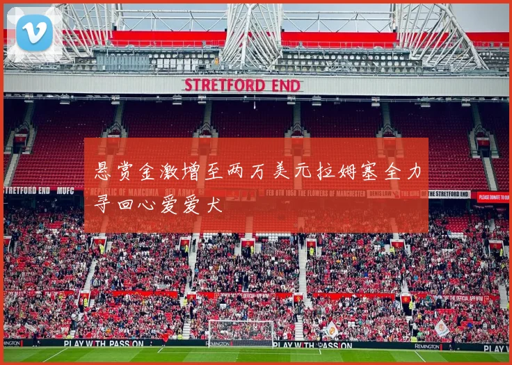 悬赏金激增至两万美元拉姆塞全力寻回心爱爱犬