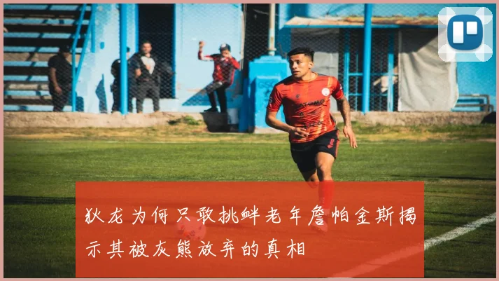 狄龙为何只敢挑衅老年詹帕金斯揭示其被灰熊放弃的真相