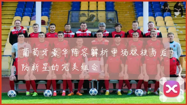 葡萄牙豪华阵容解析中场双核与后防新星的完美组合
