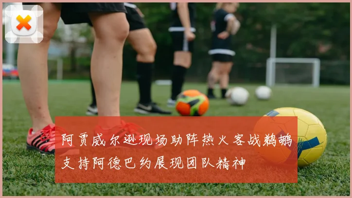 阿贾威尔逊现场助阵热火客战鹈鹕支持阿德巴约展现团队精神