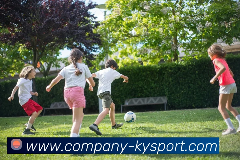 多媒体互动体验